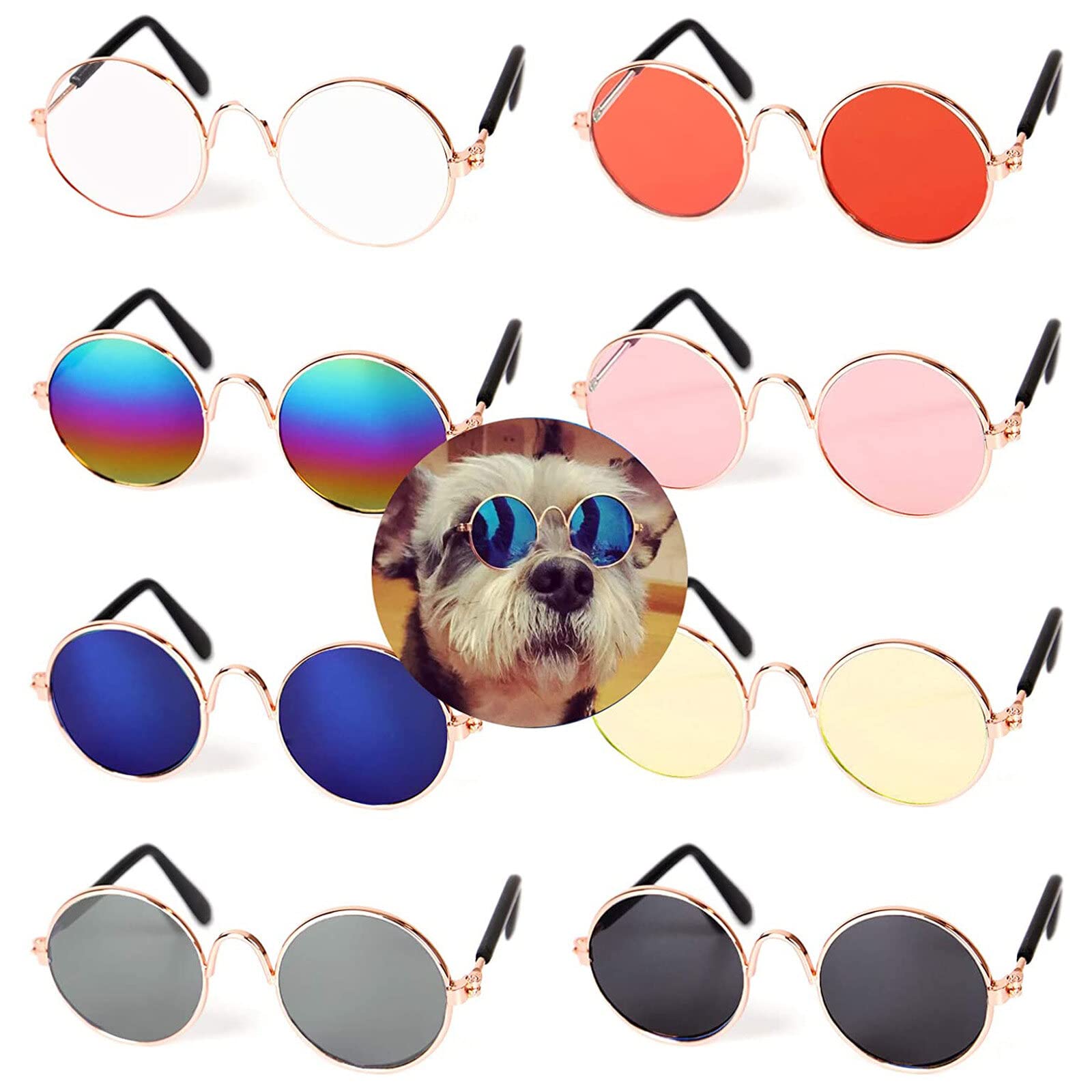 GAFAS PARA MASCOTAS CHIC ZJ225357
