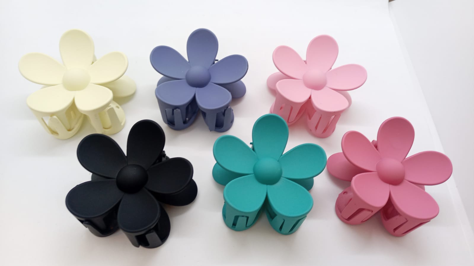 CAIMAN FLORES COLORES - FAN-547