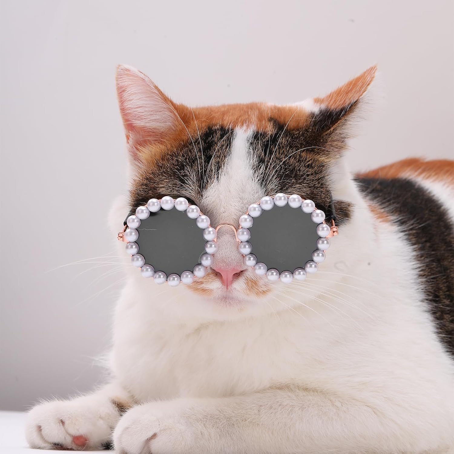 GAFAS PARA MASCOTAS PERLAS ZJ225355 - Imagen 2