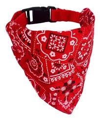 COLLAR MASCOTA PAÑOLETA ESTAMPADA - GRANDE - ZJ231751 - Imagen 4