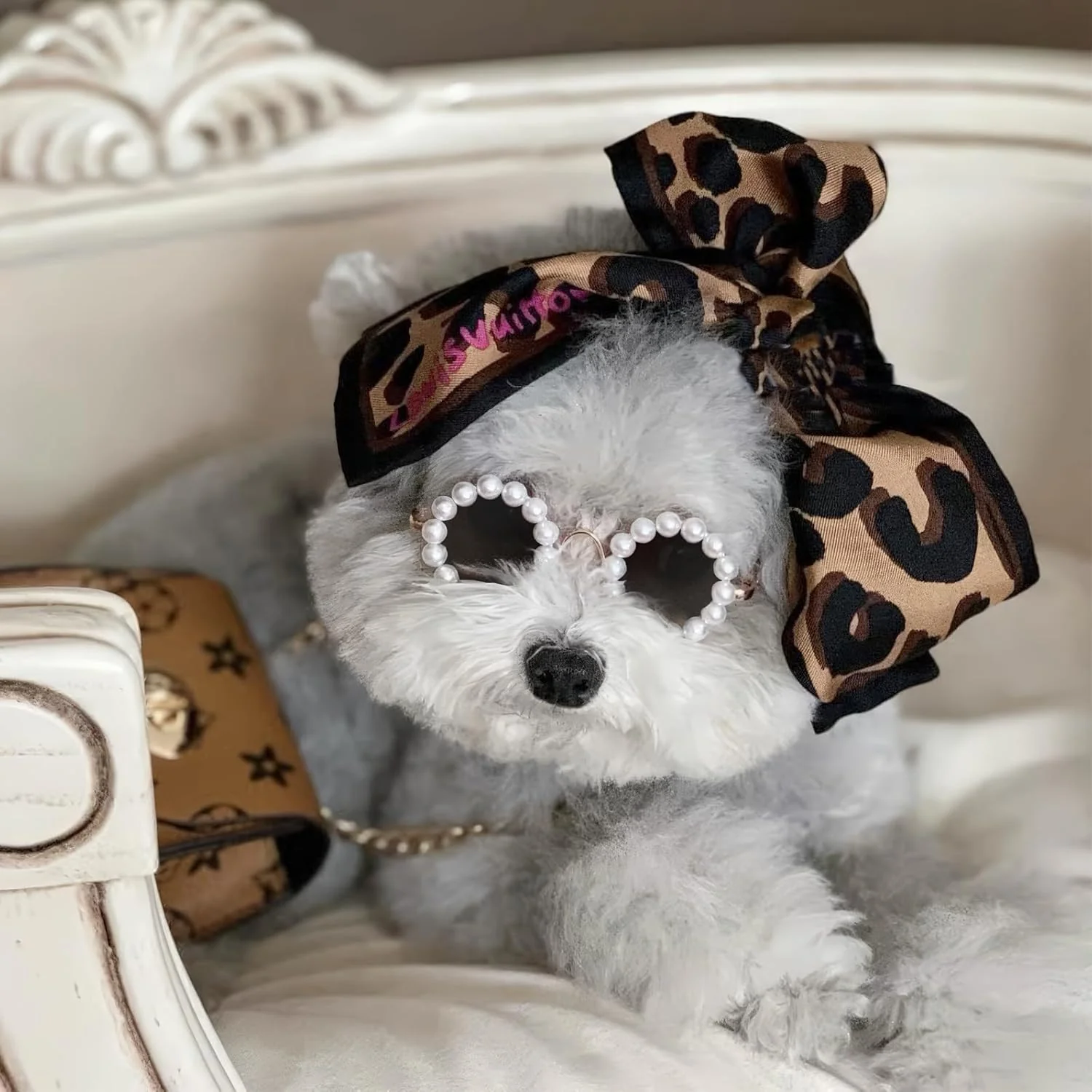 GAFAS PARA MASCOTAS PERLAS ZJ225355 - Imagen 3