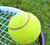 BOLA TENNIS - 1 UN - ANMA13-11 - Imagen 2