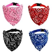 COLLAR MASCOTA PAÑOLETA ESTAMPADA - GRANDE - ZJ231751 - Imagen 2