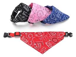 COLLAR MASCOTA PAÑOLETA ESTAMPADA - GRANDE - ZJ231751 - Imagen 3
