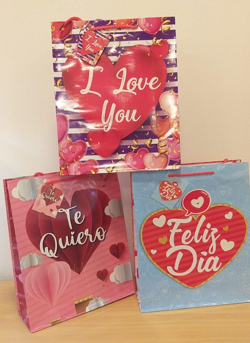 BOLSAS REGALO DIA ESPECIAL 12-482